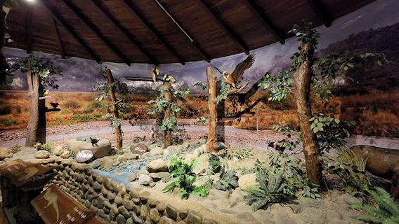 Dhangarhi Gate and Museum