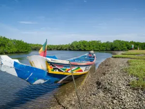 Parco nazionale del Delta del Saloum