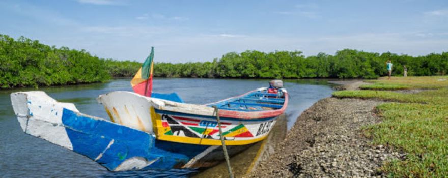 Parco nazionale del Delta del Saloum