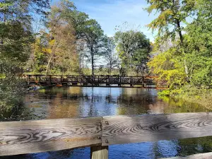 Arthur Dodd Memorial Park