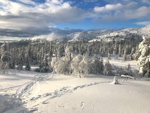 Lifjelltunet