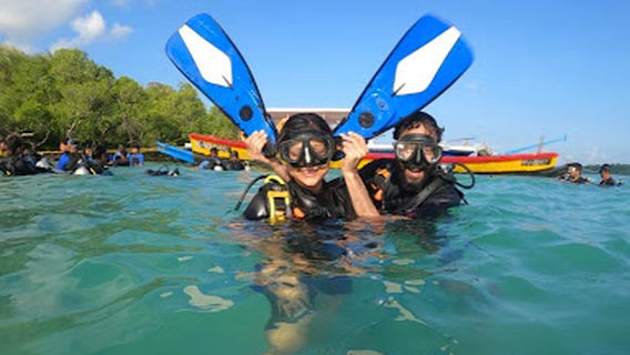 Havelock Island