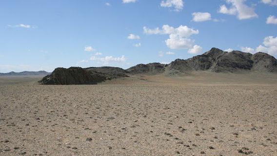 Altai