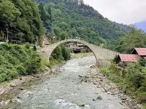 Şenyuva Bridge