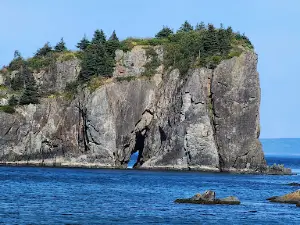 Salmon Cove Beach