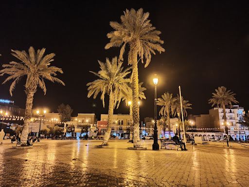 Tiaret to Bechar Flights