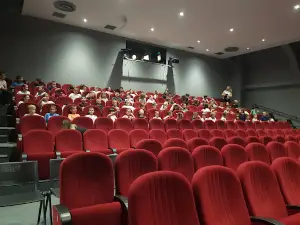 Civic Theater Joza Ivakić