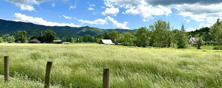 Andrews Valley Rail Tours