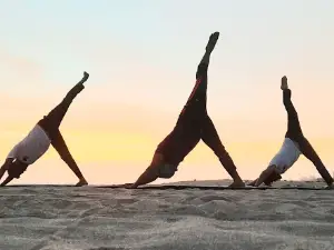 Xtrim Gym/Xtrim Fitness Care
