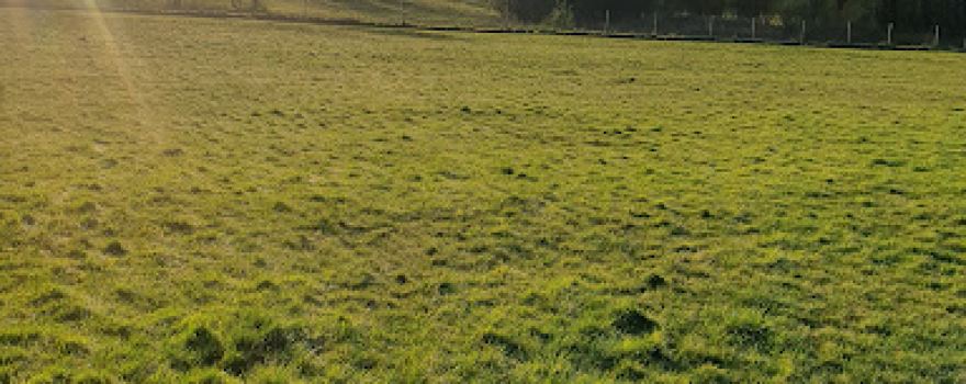 Manor Farm