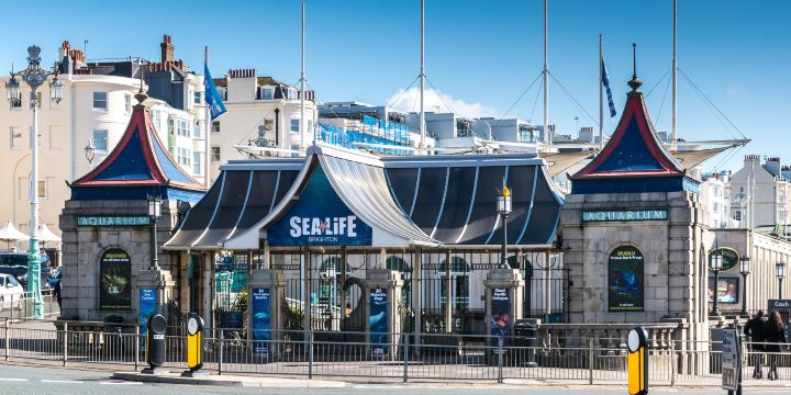 SEA LIFE Brighton
