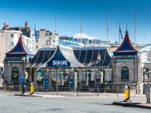 SEA LIFE Brighton