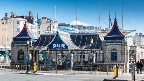 SEA LIFE Brighton attraction in Brighton dan Hove