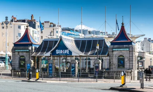 SEA LIFE Brighton