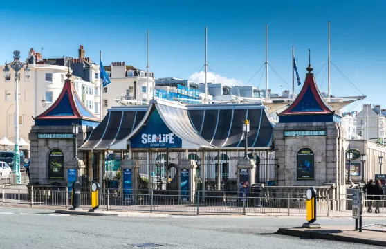 海洋館門票（指定時段）成人