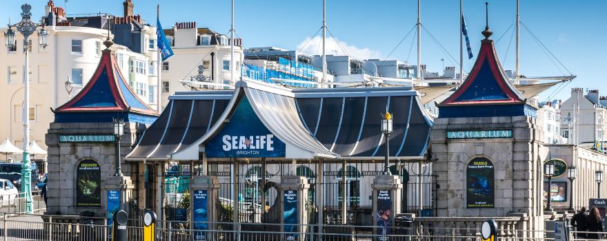 SEA LIFE 브라이턴