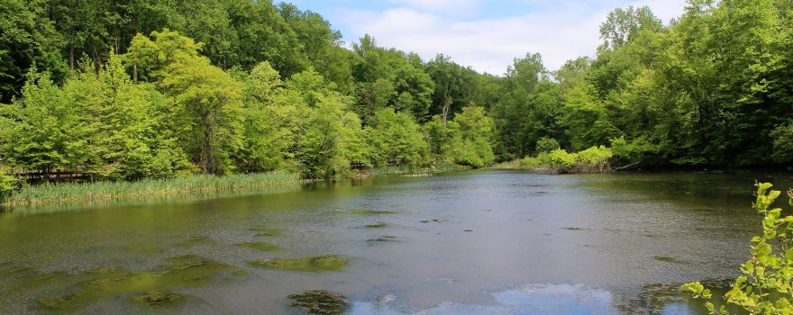 South Mountain Reservation