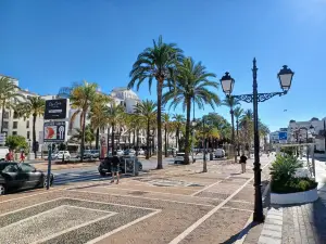 Puerto Banus Marina