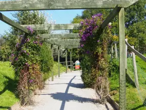 Screech Owl Sanctuary & Animal Park