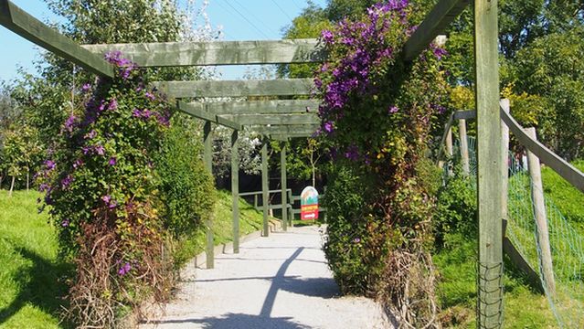 Screech Owl Sanctuary & Animal Park