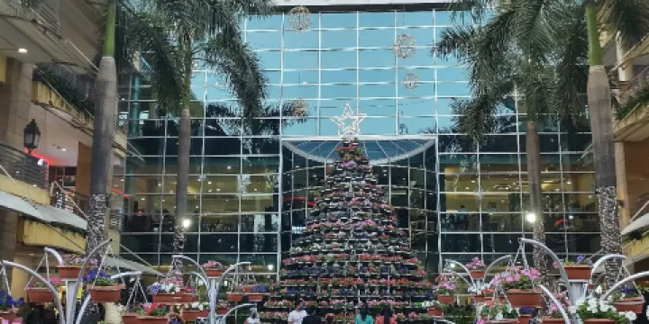 Viviana Mall