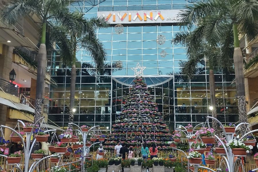 Viviana Mall