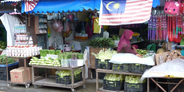 Kea Farm