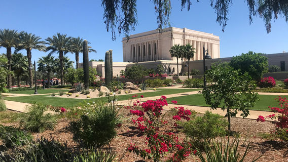 Mesa Arizona Temple