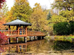 Japanese Garden