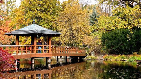 Japanese Garden