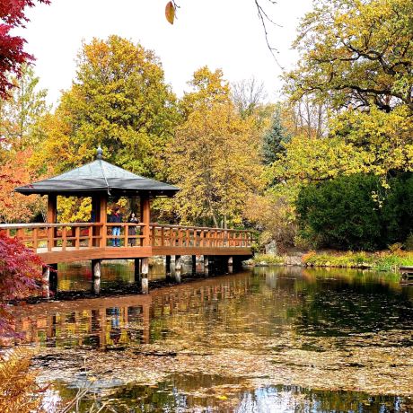 ヤポンスキ庭園