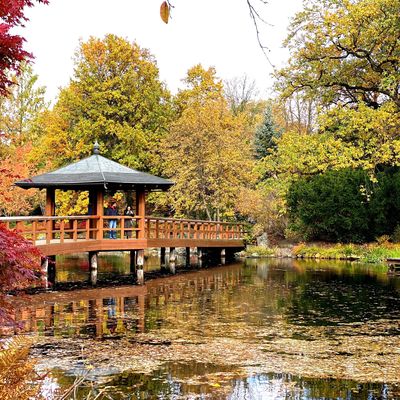 Japanese Garden