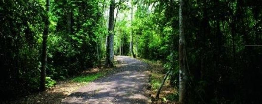 Parque Ambiental Chico Mendes
