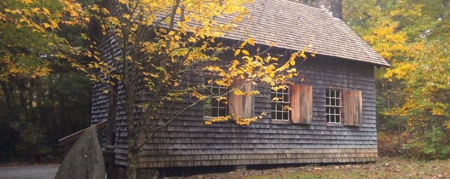 Cradle of Forestry in America