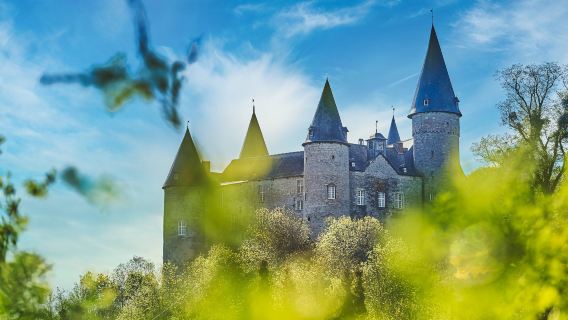 Castle Veves