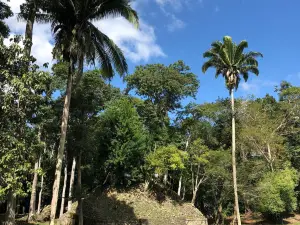 Maya-Ruinen von Caracol