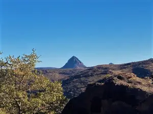 Chihuahuan Desert Nature Center & Botanical Gardens