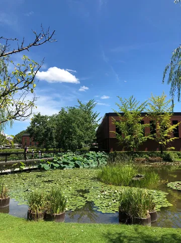 5_久留米市美術館（石橋文化中心 文化館）