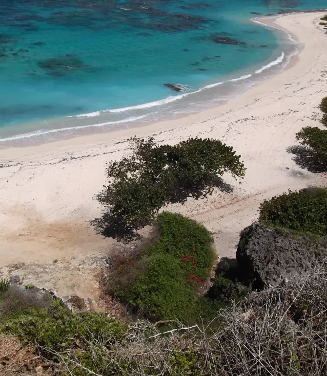 Barbuda