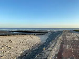 The Wadden Sea, Germany