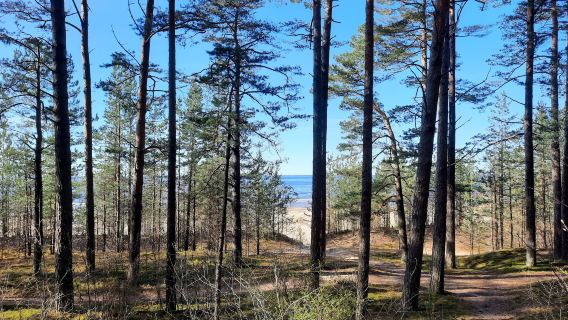 Ragakāpa Nature Park (Bulduri NP)