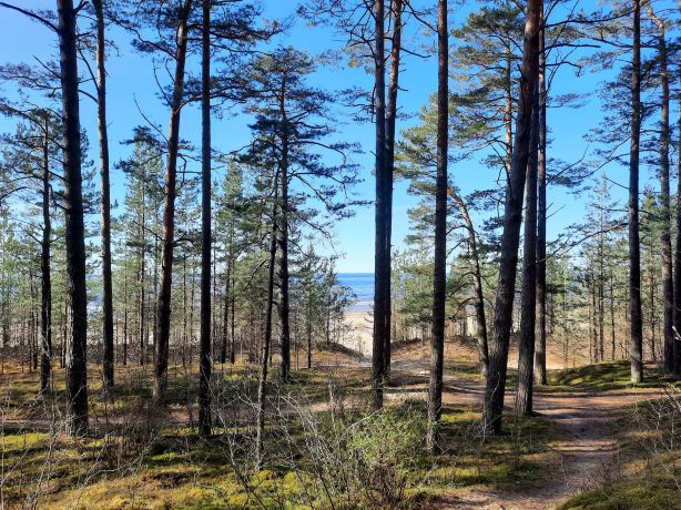 Ragakāpa Nature Park (Bulduri NP)