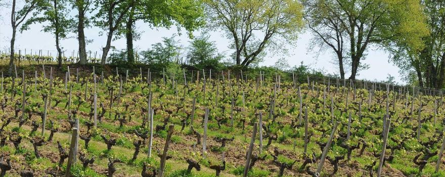 Domaine de Chastelet