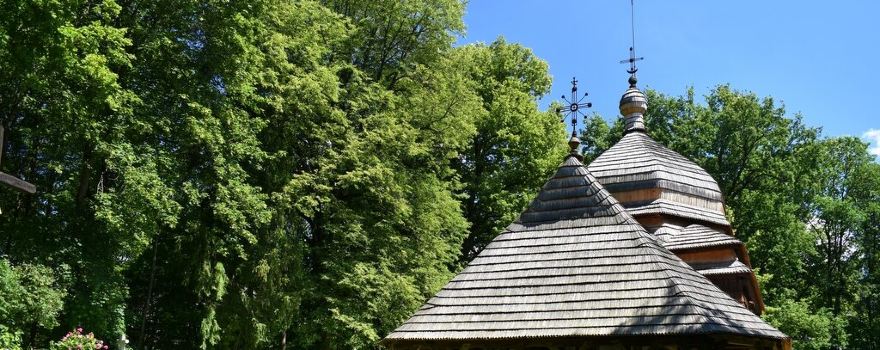 Brzozow County