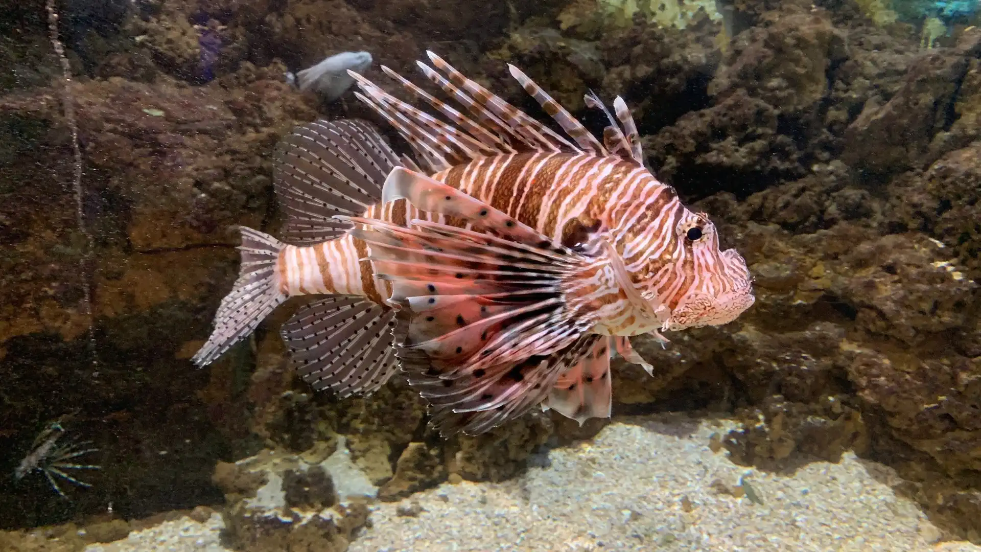 Hotels near Aquarium