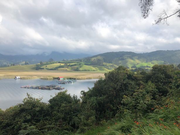 Laguna De La Cocha