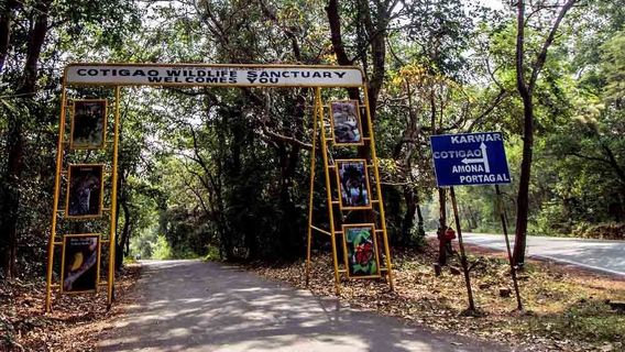 Cotigao Wildlife Sanctuary