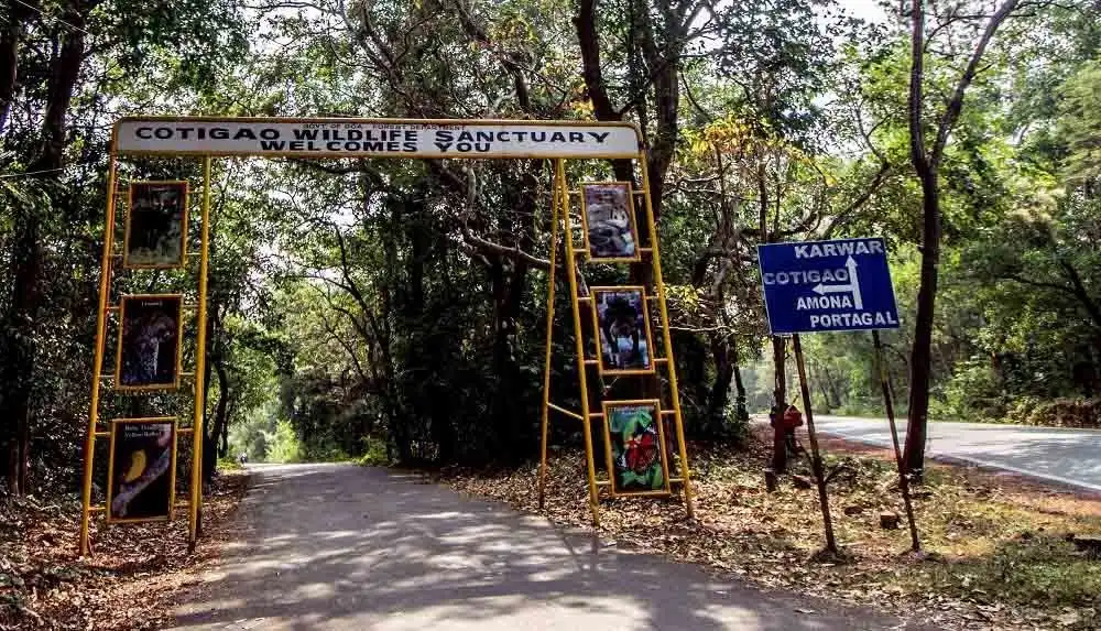 Hotels near Cotigao Wildlife Sanctuary