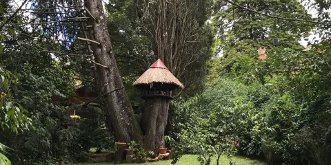 Casa dos Beija Flores