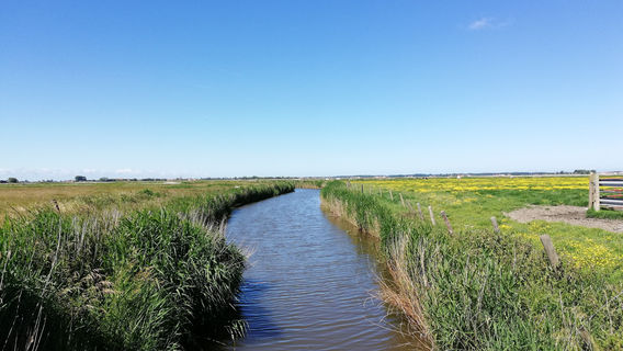 Uitkerkse Polder